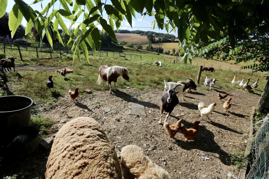 Вілла La Ferme Couderc Castelnaud-de-Gratecambe Екстер'єр фото