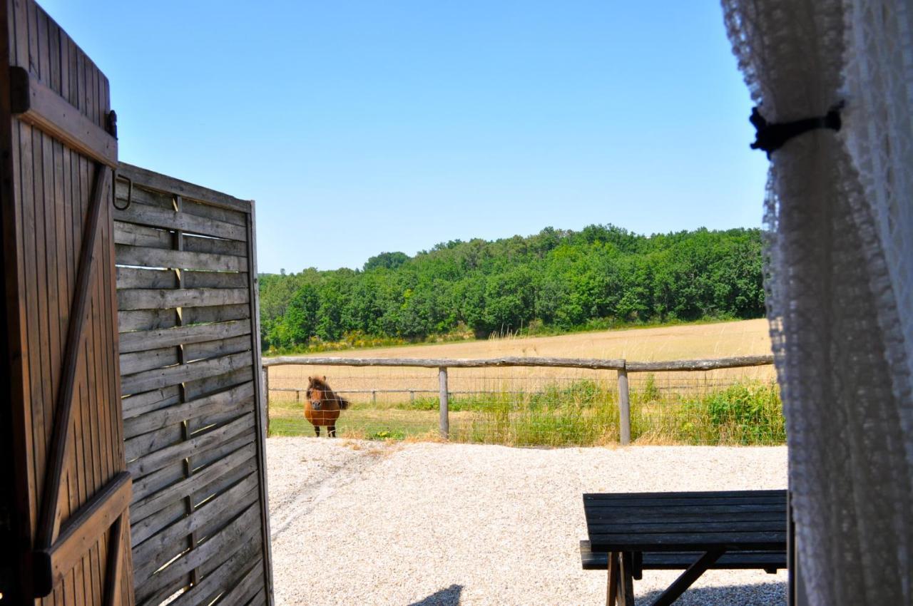 Вілла La Ferme Couderc Castelnaud-de-Gratecambe Екстер'єр фото